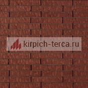 Кирпич клинкерный пустотелый Terca® MARONO red рельефный 288*88*48