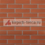 Кирпич пустотелый Terca® Polonia POMERANIA гладкий 1/2 W 250*60*65